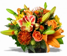 Awesome Orange!