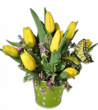 Polka Dots,Tulips, & Butterflies