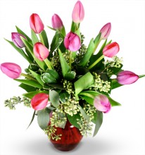 Valentine's Day Tulips