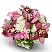 Pink & White Princess