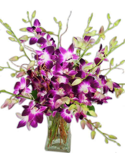 Shade of purple orchids and vase may vary slightly Purple orchids have been