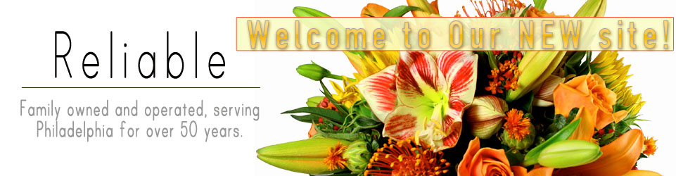 havertown florist flowers
