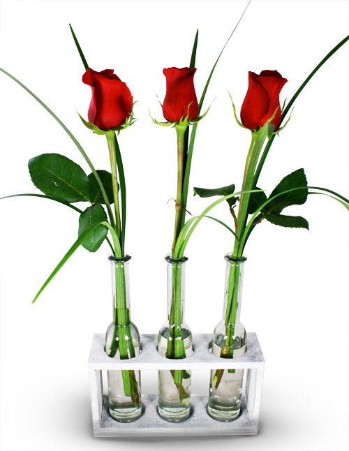 rose-trio.jpg