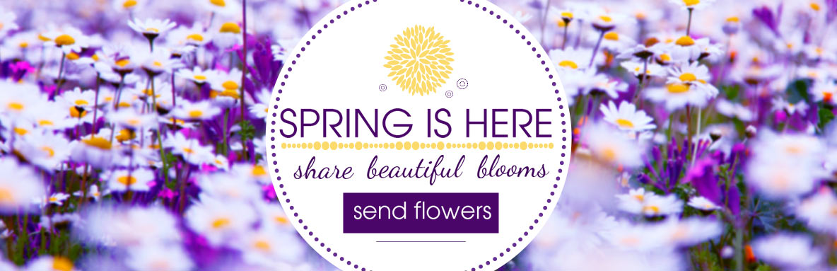 Belvedere Spring Flowers