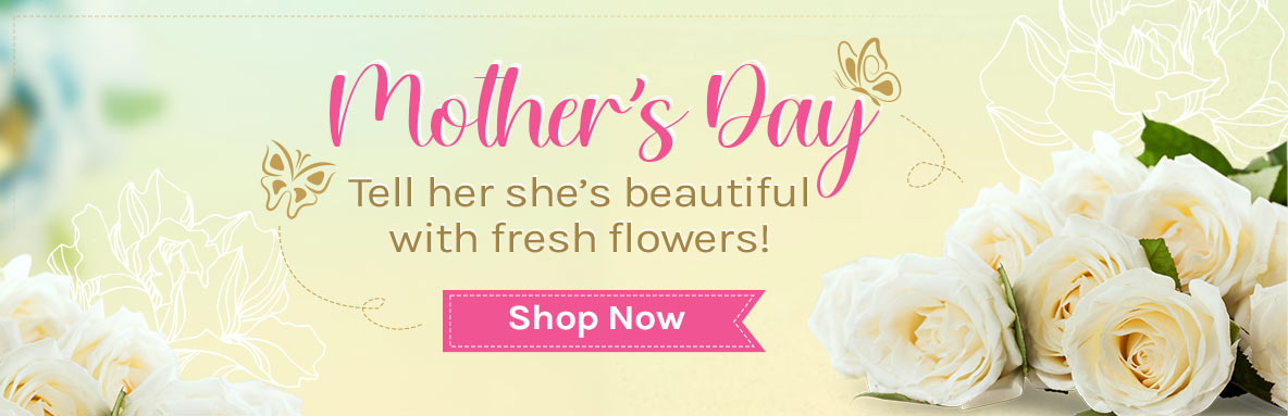 Belvedere Mother's Day Flowers
